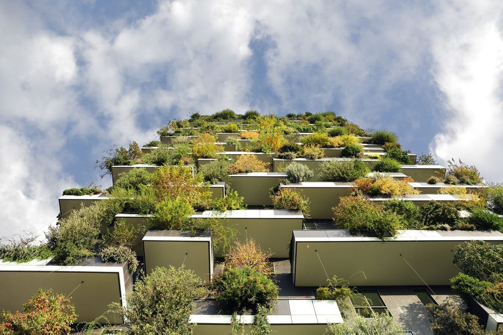 vertical forest stefano boeri architetti vertical tree
