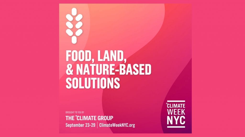 the great green wall of cities un climate action summit Stefano