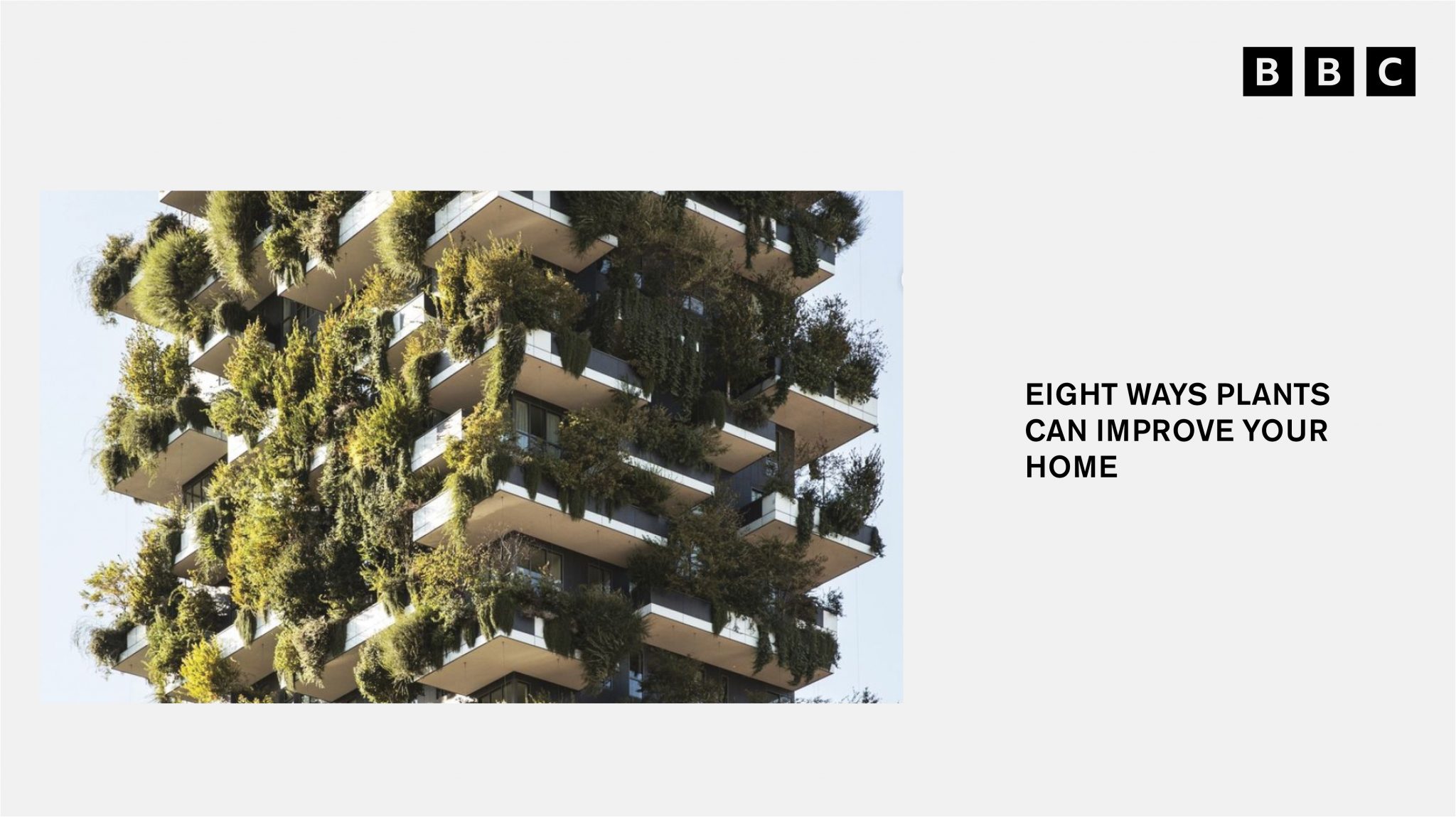 bosco verticale su bbc