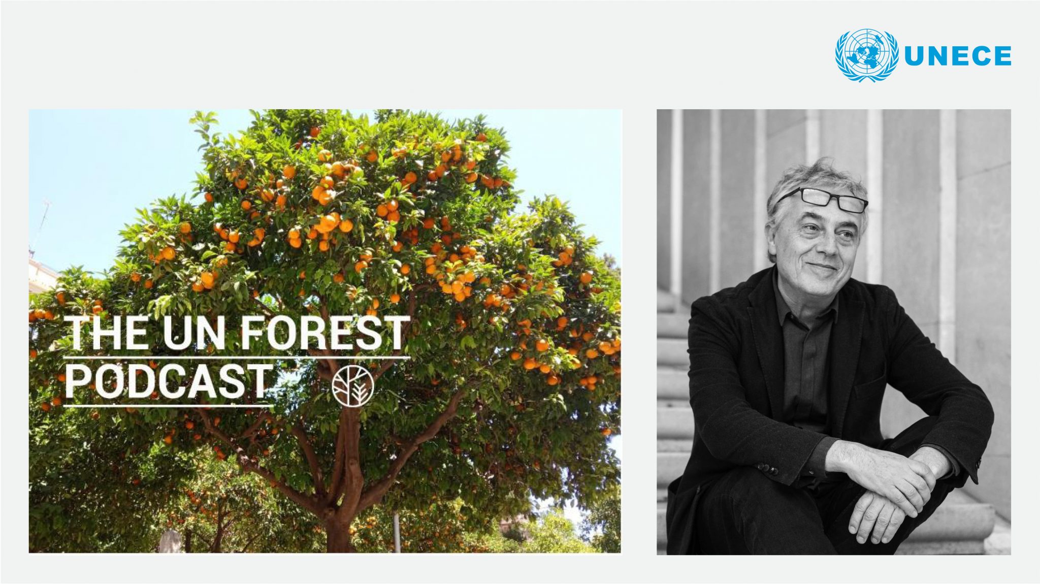 Stefano Boeri al UN Forest Podcast