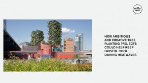 bosco verticale su the bristol cable
