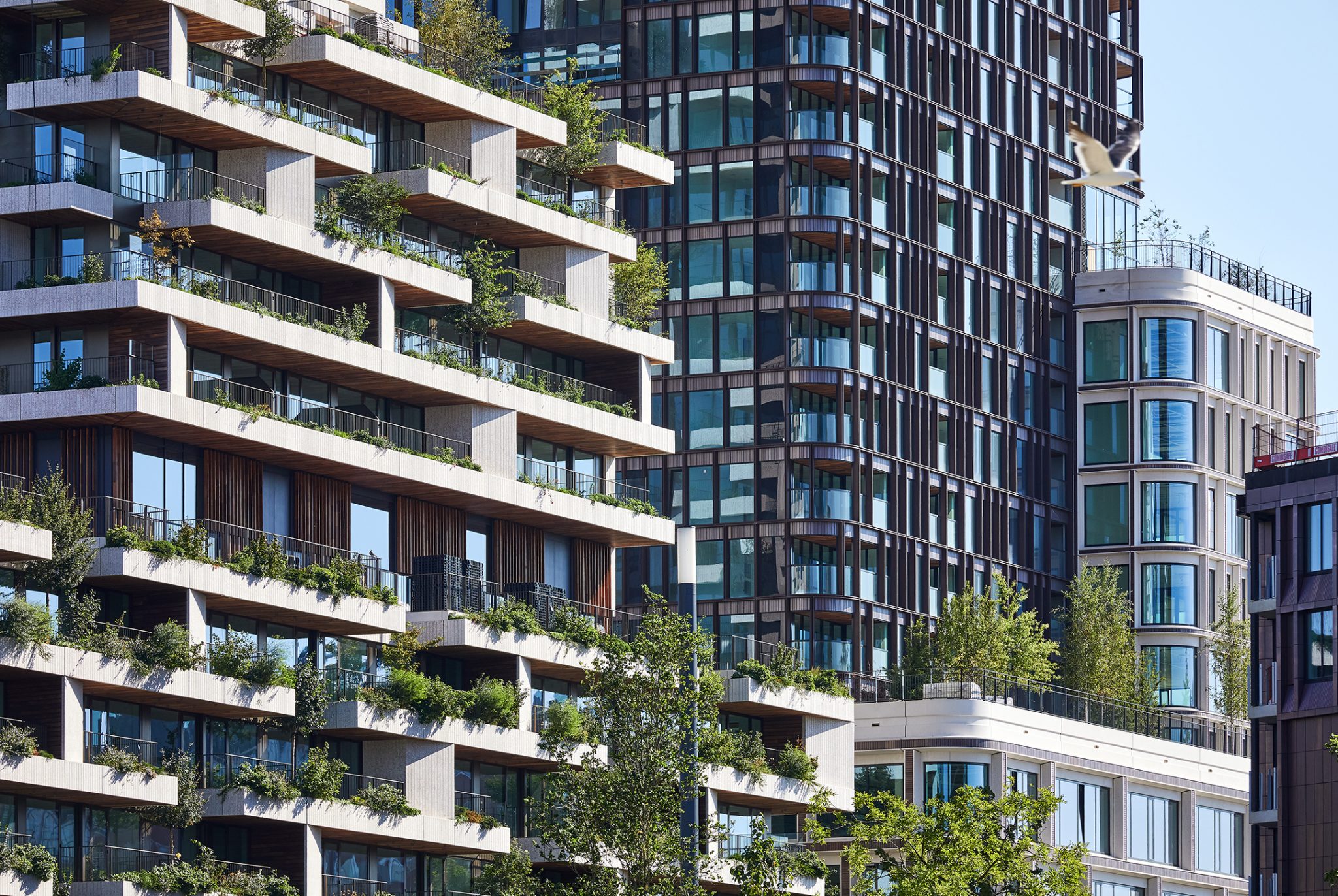 Wonderwoods (Beurskwartier) - Image 3