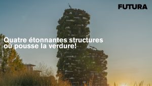 Futura Sciences Bosco Verticale