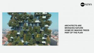 Bosco Verticale su abc news
