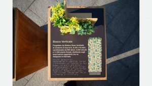 Ramak Fazel Bosco Verticale