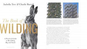 Bosco Verticale in The Book of Wilding