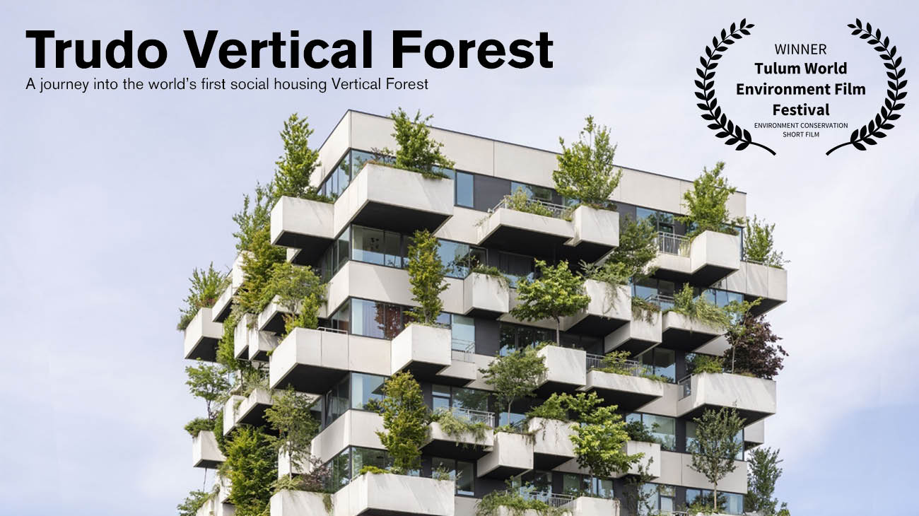 tulum film festival trudo