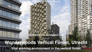 Francesca cesa bianchi wonderwoods