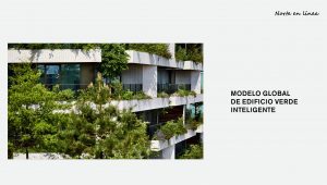 Wonderwoods in Norte en Linea