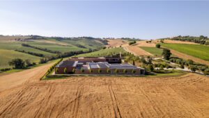 Pastificio Agricolo Mancini